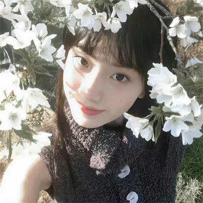 邻家诗话第四季