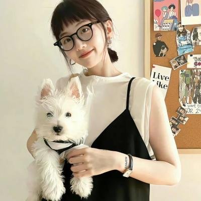 杰克盖的房子